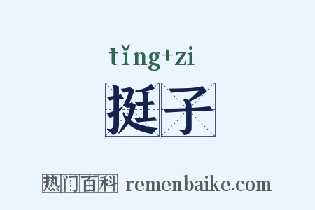 挺子是什么意思的图片